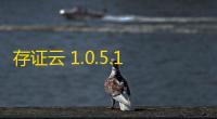 存证云 1.0.5.1 企业版